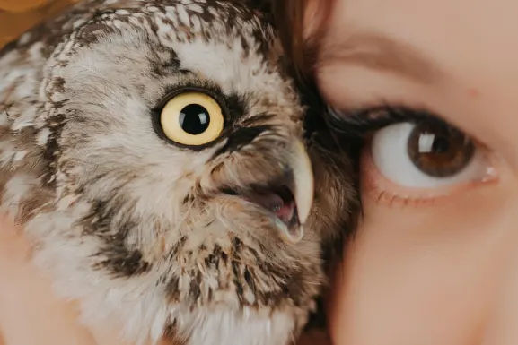 Lottomart Kaszinó Támogatás